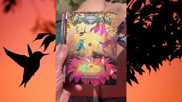 Hummingbird Wisdom Oracle Cards Flip-through to Music смотреть онлайн