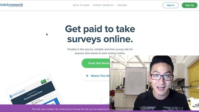 Vindale Research Review - Can You Really Earn With This Site?