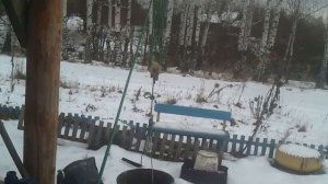 Полиспаст своими руками часть 3 (финал)