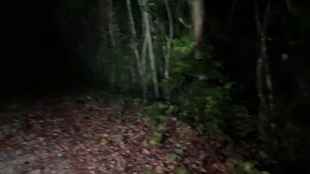 ⚠️Exploración Extrema‼️Turbio Lugar смотреть онлайн