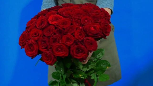 Букет из 75 красных российских роз смотреть онлайн