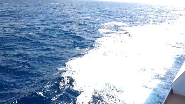 Cruise ship and flying fish смотреть онлайн