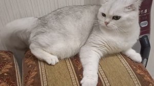 ХАРАКТЕР НЕ «САХАР»🍬💯⚡️🤨