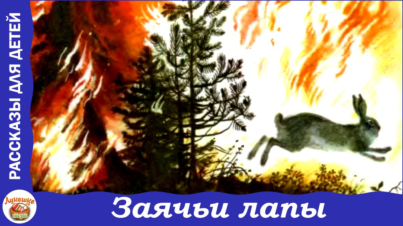 Заячьи лапы. Рассказ К. Паустовского для детей смотреть онлайн