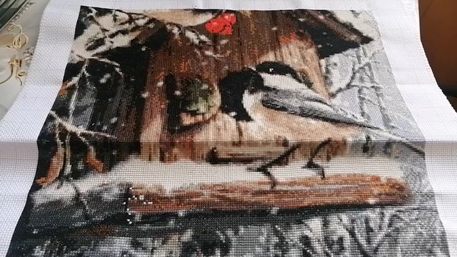 Появление первой птички у скворечника. смотреть онлайн