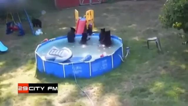 Нежданные гости смотреть онлайн