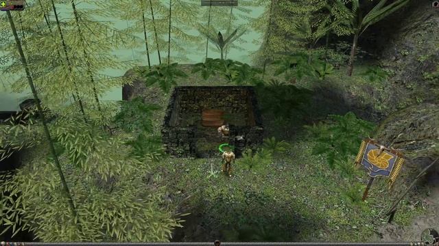Дикое прохождение Dungeon Siege II вдвоём. Часть 1. Начало пути. смотреть онлайн