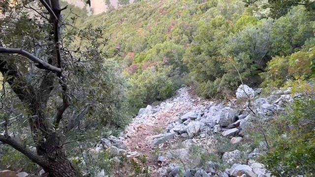 Афонские будни смотреть онлайн