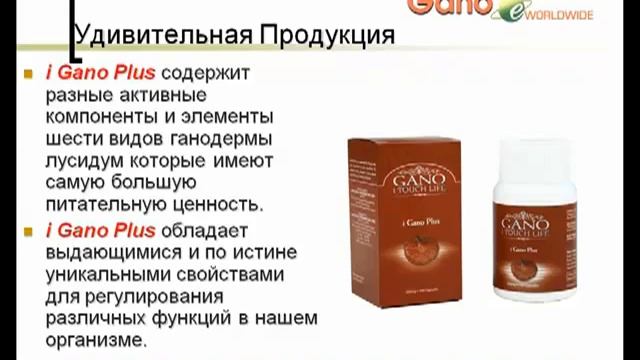 О Ганодерме Лусидум (Ganoderma Lucidum).flv смотреть онлайн