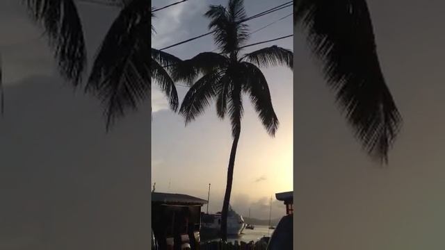 Coconut man in Cruz Bay смотреть онлайн
