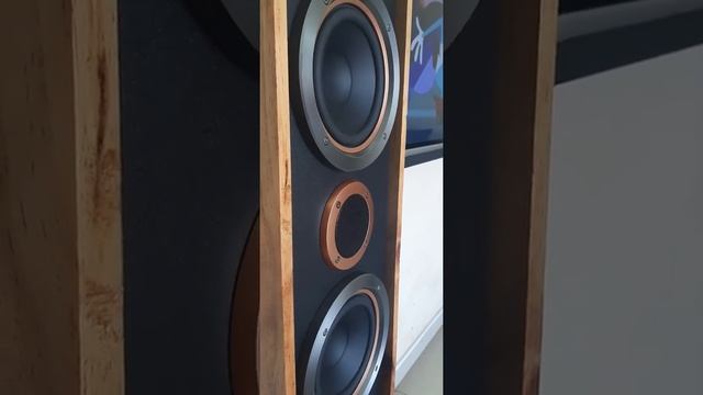 PIONEER S-RS55TB SPIKES смотреть онлайн