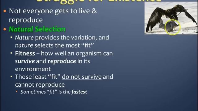 Target B2.1: Struggle For Existence & Natural Selection смотреть онлайн