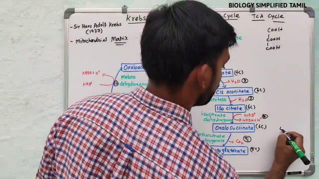 Krebs cycle in tamil | TNSCERT | Senthilnathan смотреть онлайн