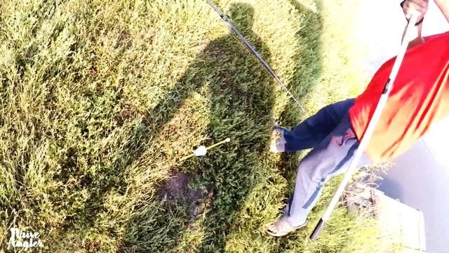 Как поймать толстолобика? смотреть онлайн