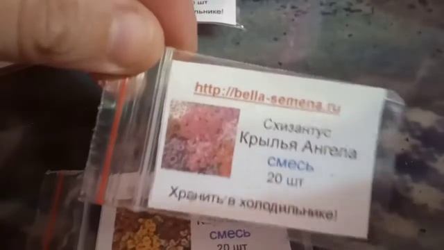 Примула. Как буду сеять в марте смотреть онлайн