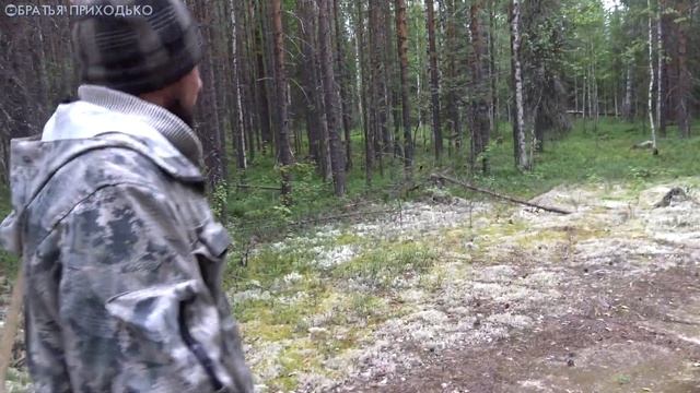 ТАЕЖНАЯ ГРИБАЛКА