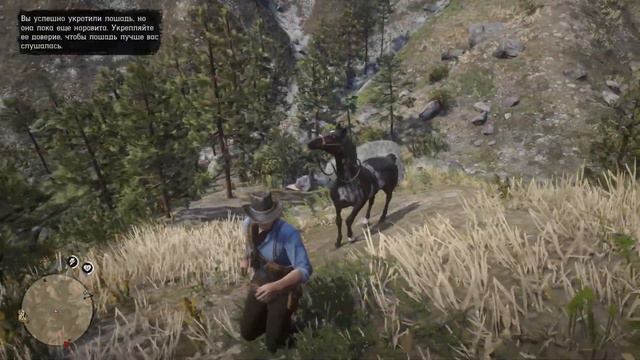 Где найти на карте всех арабских лошадей в Red Dead Redemption 2 смотреть онлайн
