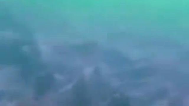 Очистка пляжа на Набережной смотреть онлайн