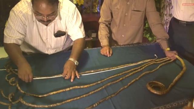 Что будет если не стричь ногти смотреть онлайн