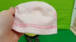 Что нужно для появления басика в доме?