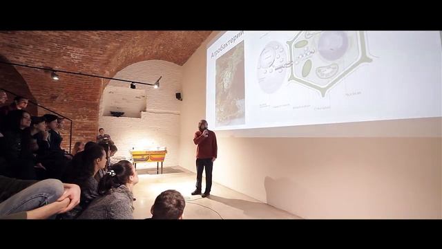Pavel Dobrynin: Let's Talk About Bacterium