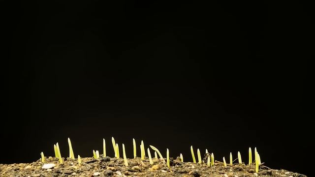 Остановившиеся. Страшные. Мистические. Творческие истории. смотреть онлайн