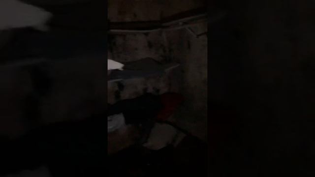 Eberhart Chicago 2 смотреть онлайн
