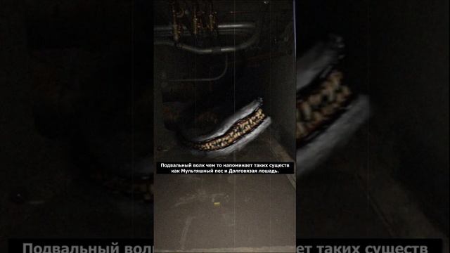 Кто такой Подвальный Волк? | Basement Wolf | Страшилки смотреть онлайн
