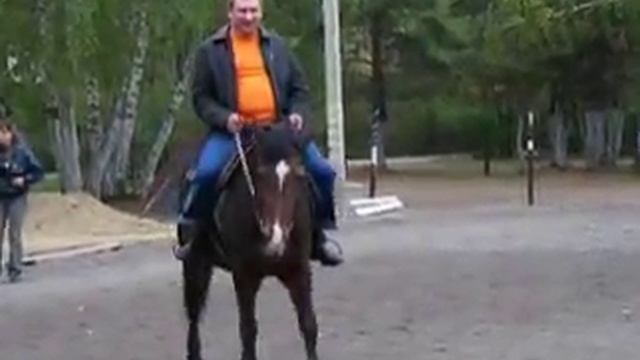 лошадка.mpg смотреть онлайн