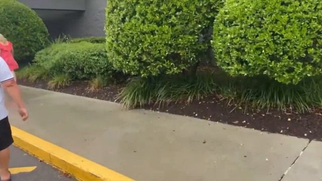 ЗАКУПКА В COSTCO, Sam’s Club! ВСЁ НАМ ОБОШЛОСЬ В 40000 тысяч рублей😵💫 смотреть онлайн