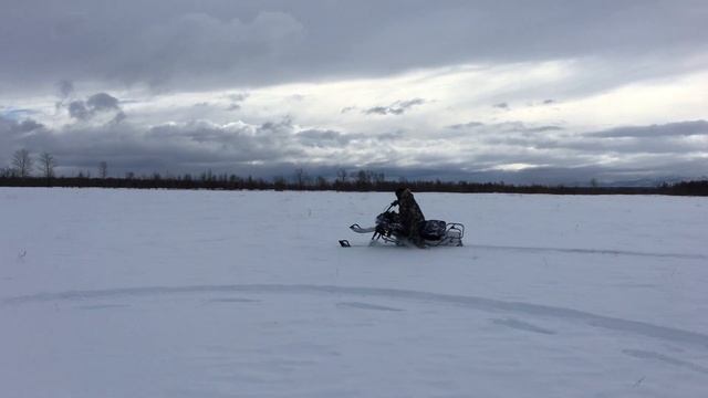 снегоход Dingo 125 Т смотреть онлайн