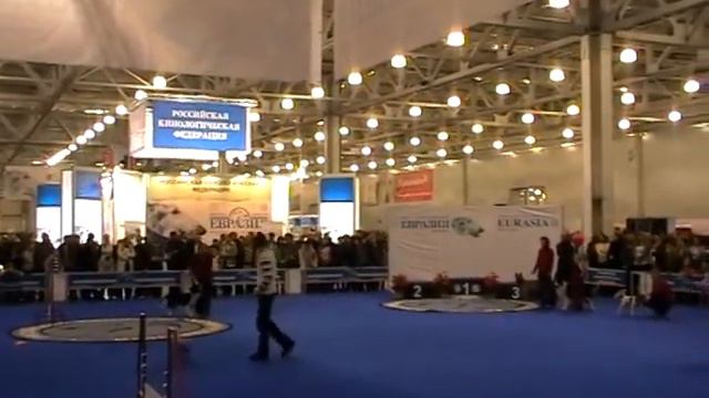 Евразия 2009. Флайбол смотреть онлайн