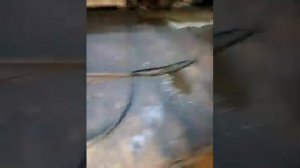 шкода рапид правильная установка котла подогрева.