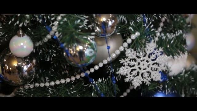Свадьба Владимир и Мария 25 12 15 смотреть онлайн