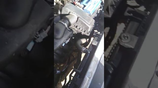 Пежо 406 смотреть онлайн