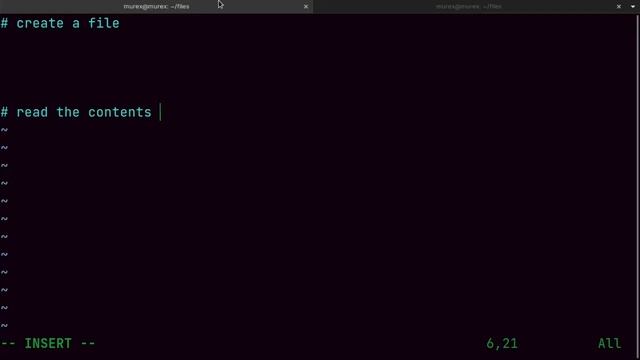 File Handling #open #read #write смотреть онлайн