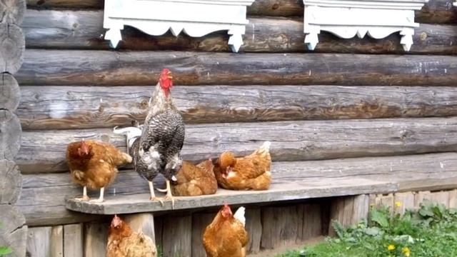 Попаримся смотреть онлайн