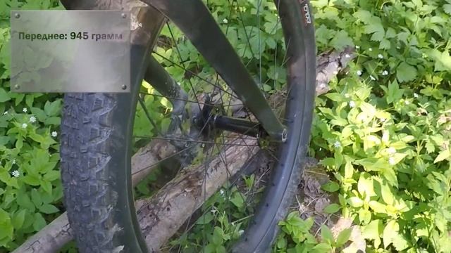 Icebreaker Norman 29 Plus Bike