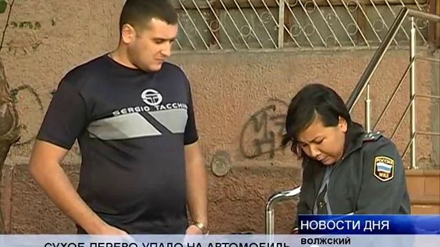 СУХОЕ ДЕРЕВО УПАЛО НА АВТОМОБИЛЬ В ВОЛЖСКОМ смотреть онлайн