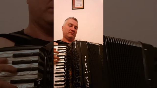 Proba,teszt,harmonika, paolo soprani, demo,akkordeon,petromestro,(3) смотреть онлайн
