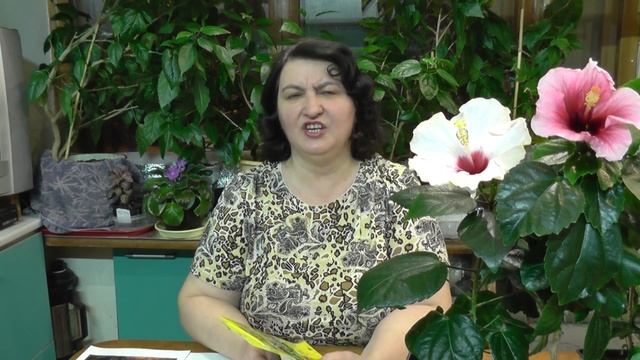 Строительные Шедевры