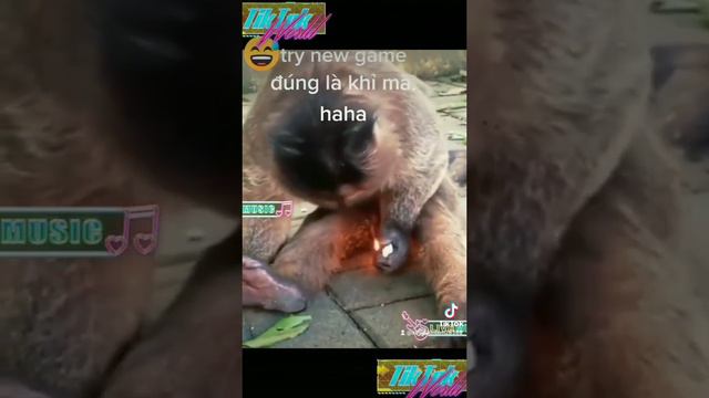 chòm vô kiêm gì trong đó. смотреть онлайн