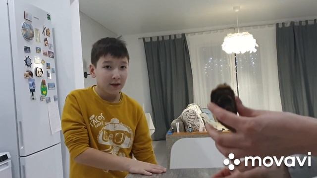 #устрицы #большойутриш #сукко       ЭТИ УЖАСНЫЕ УСТРИЦЫ! Они так быстро съедаются!