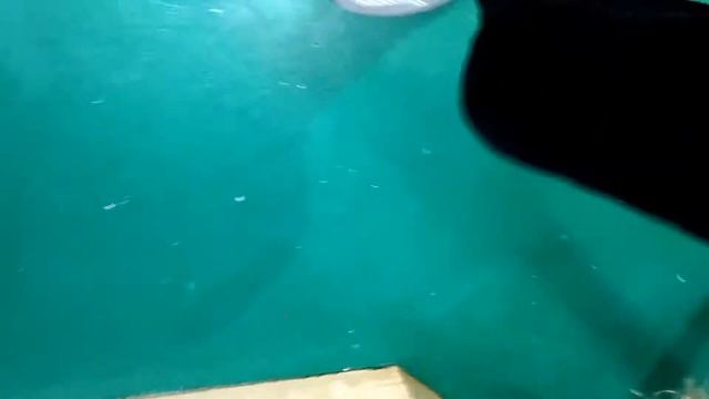 Нападение животного в контактом зоопарке смотреть онлайн