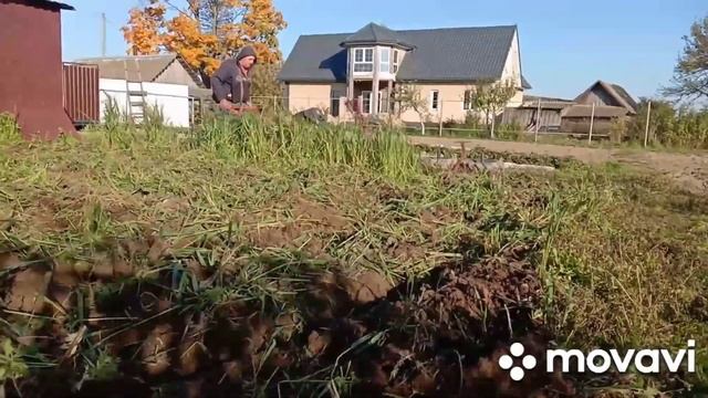 Активные роторы наше все. смотреть онлайн