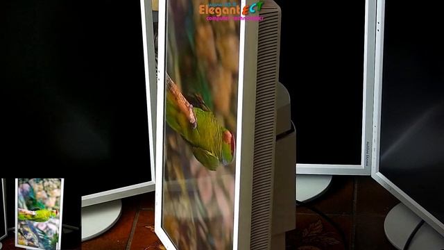 NEC MultiSync EA274WMi Commercial Display 27" 2560x1440 iPS (Japan) + OSD Full Menu Preview смотреть онлайн