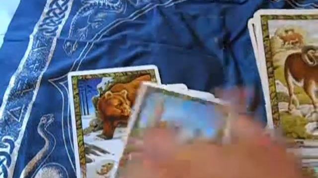 Druid Animal Oracle Review смотреть онлайн