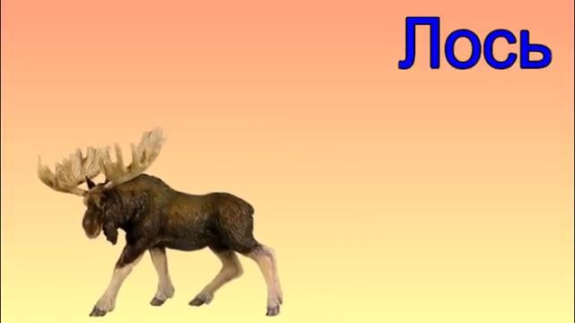 Логопед - как выговаривать букву Л. смотреть онлайн