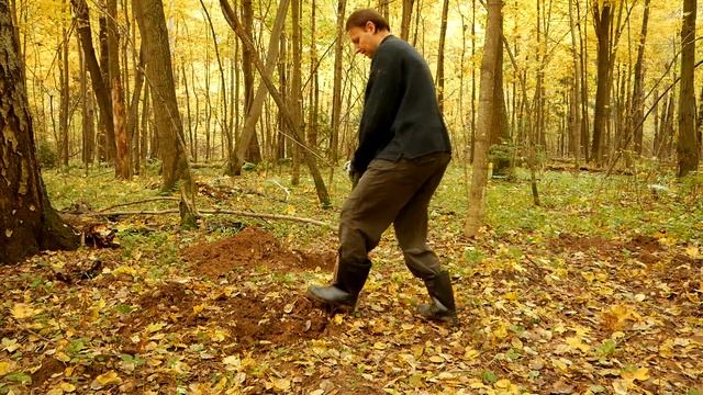 Домик над землёй / Начало, поиск строительного материала, красивая осень. смотреть онлайн
