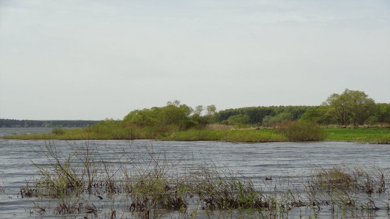 Деревня Красновидово Можайский район МО (08.05.14)